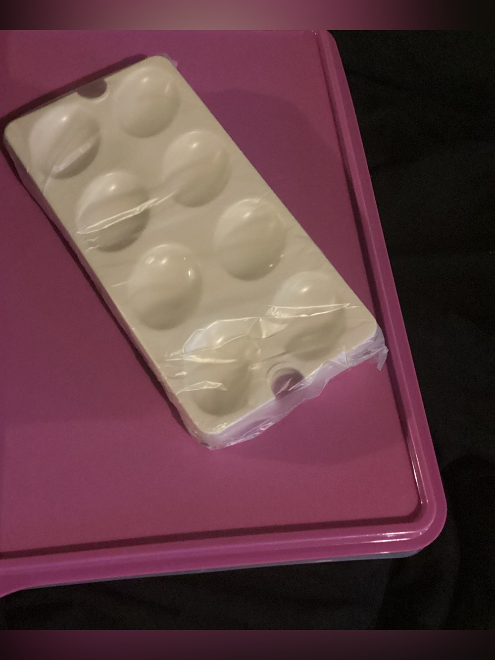 Tupperware Snack-Stor Large with Egg Inserts in Wild Mulberry